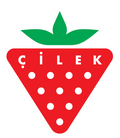 Çilek Mobilya logo